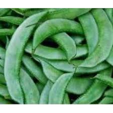 Grow Delicious Lima Beans | Easy Planting Seeds for Your Garden