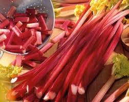 Ruibarbo Plant Seeds for Gardening and Planting: Grow Your Own Delicious Rhubarb!