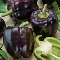 Chocolate Pepper Seeds for Easy Planting