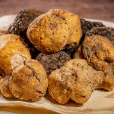 Truffle Vegetable Seeds for Easy Planting