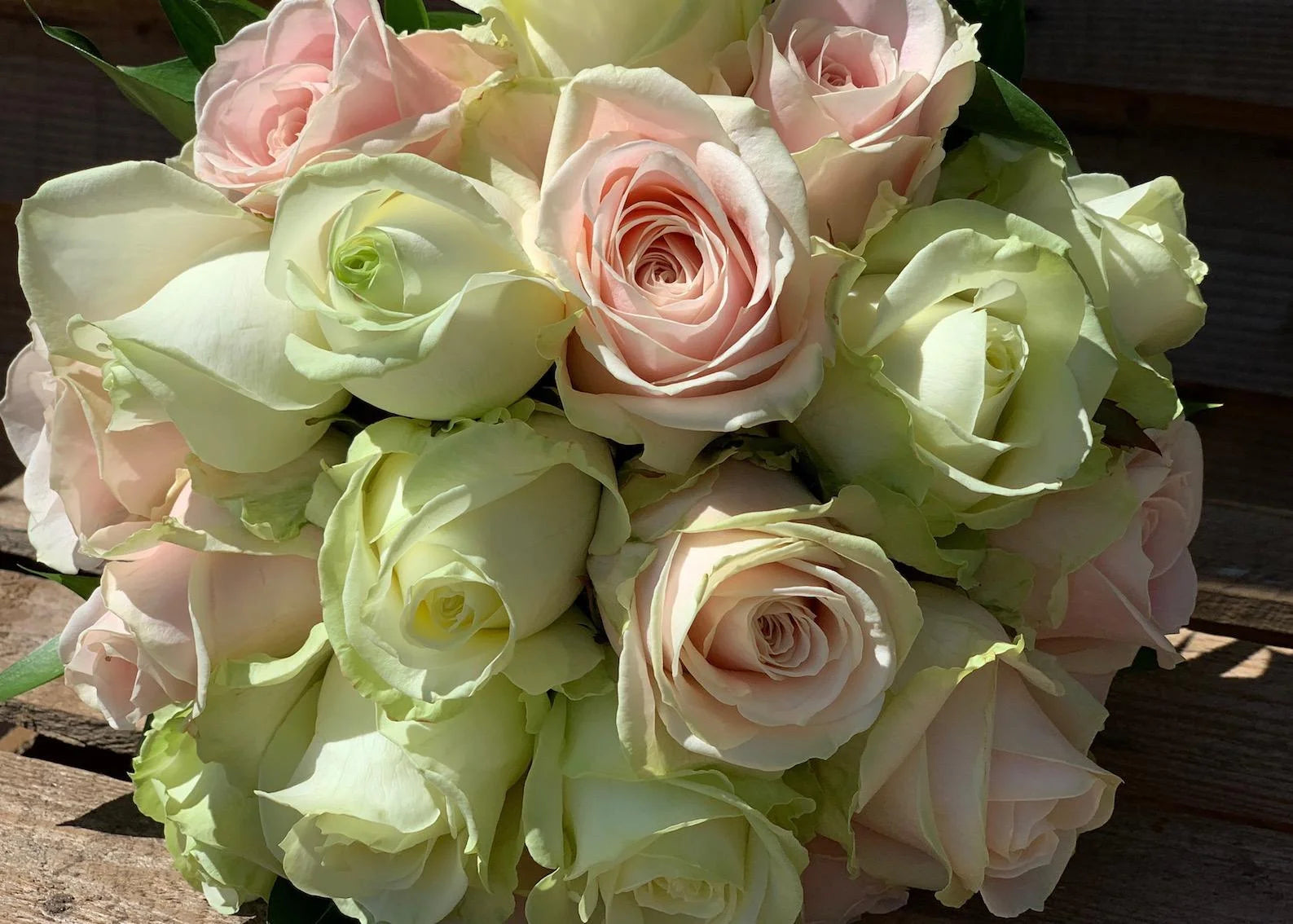 Pink Green Rose Flower Seeds for Planting Hardy Variety Heirloom & GMO Free Seeds for Home Garden
Sale