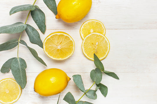 Lemon Scented Eucalyptus Seeds Corymbia Citriodora White Flowers and Aromatic Leaves