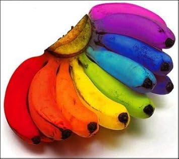 Mixed banana seeds for planting assorted tropical banana varieties