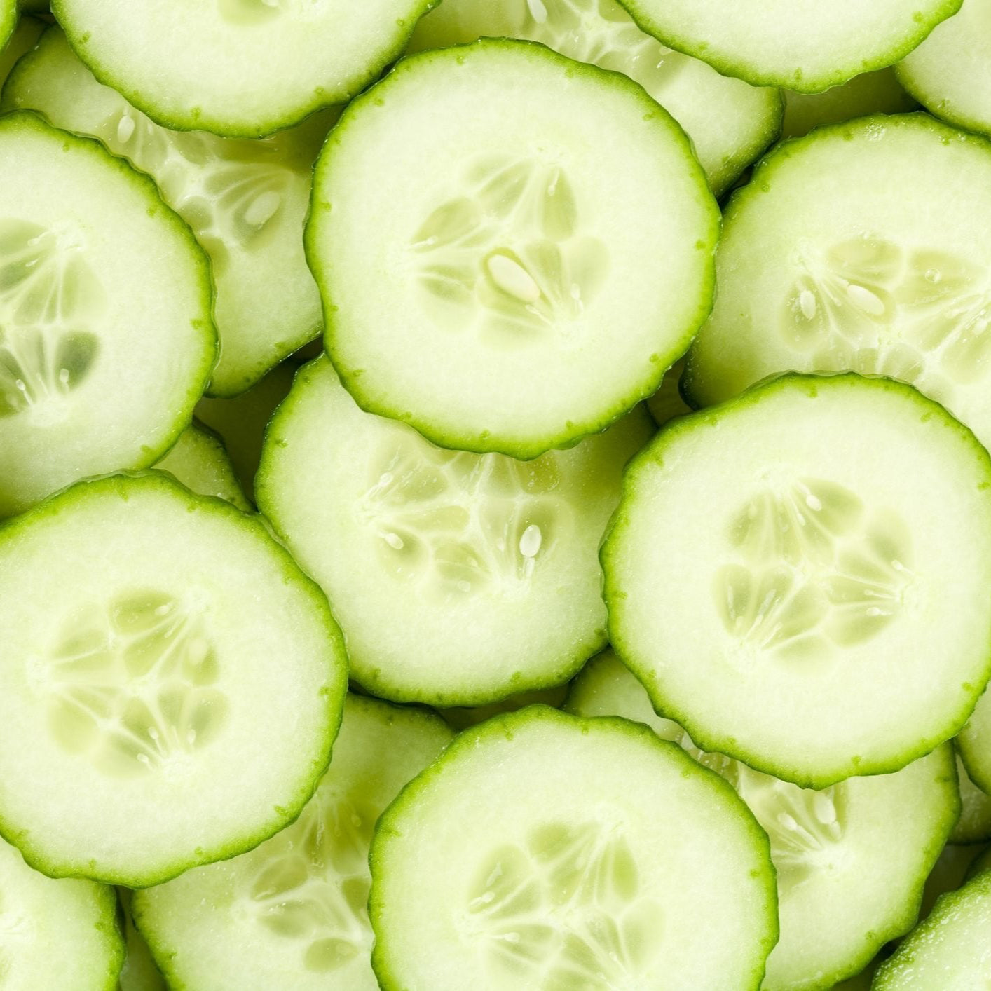 Premium English Cucumber Seeds – Crisp and Fresh Salad Variety