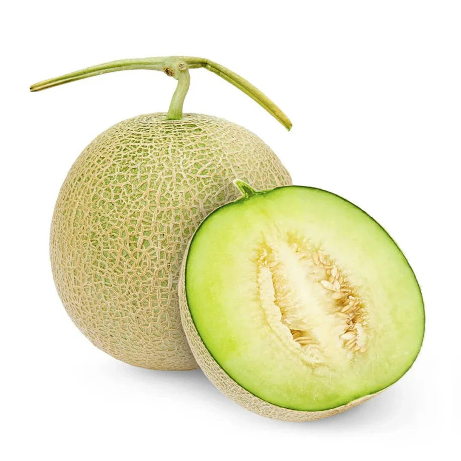 Buy Musk Melon Seeds Online – Cucumis melo Tropical Fruit Variety