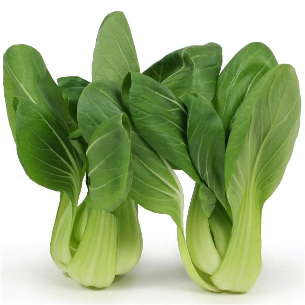 Green Pak Choi Seeds for Vegetable Planting