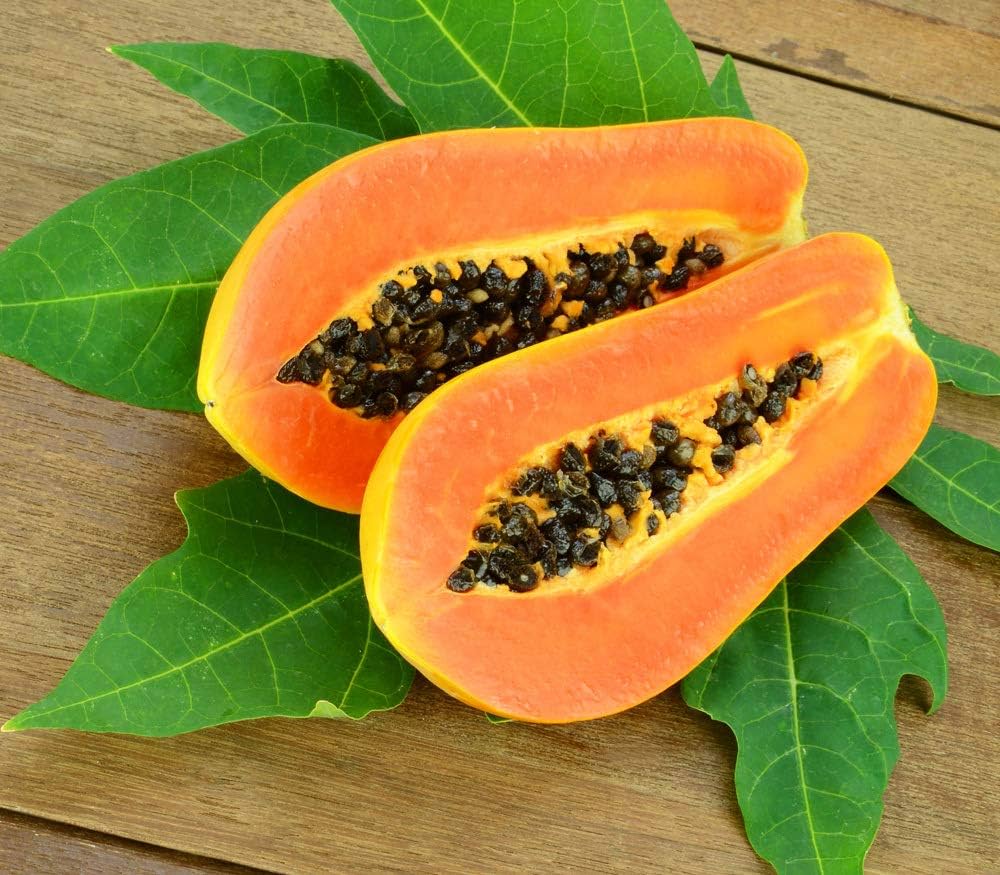 Papaya tree with ripe orange fruit
