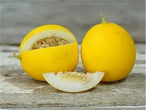 Peach Melon seeds Cucumis melo for planting in garden