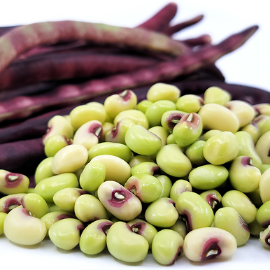 Organic Purple Hull Pea Seeds – Homegrown Cowpeas for Families