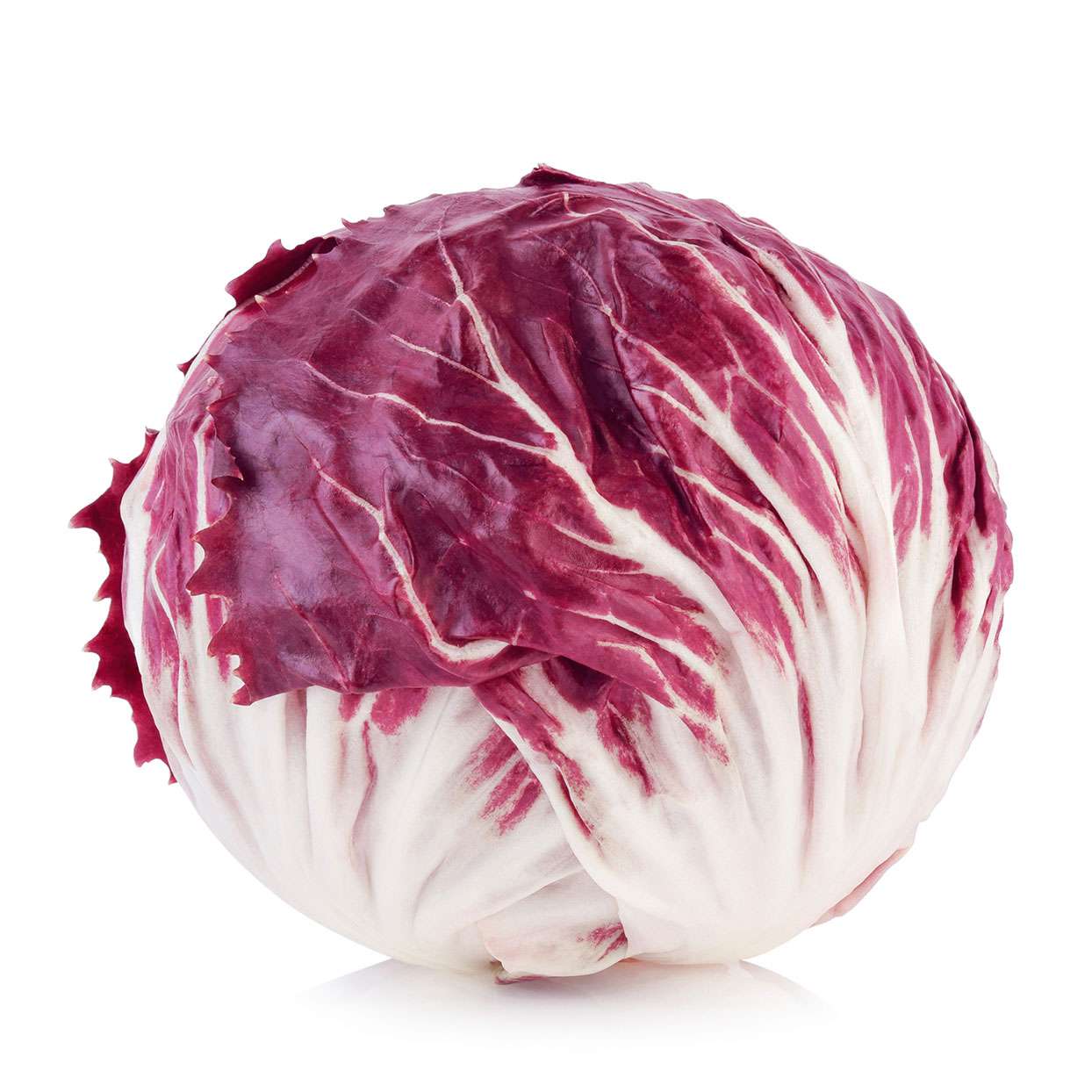 Red Radicchio Vegetable Seeds - Easy Planting for Home Gardens