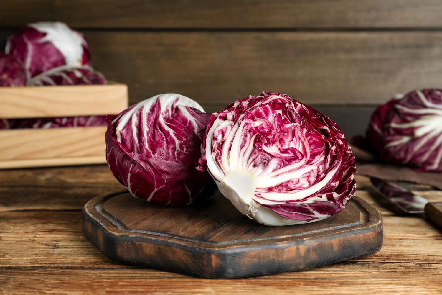 Radicchio plants thriving in raised garden beds