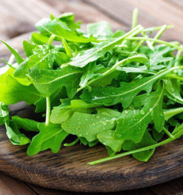 Rocket Plant Vegetable Seeds for Gardening & Planting