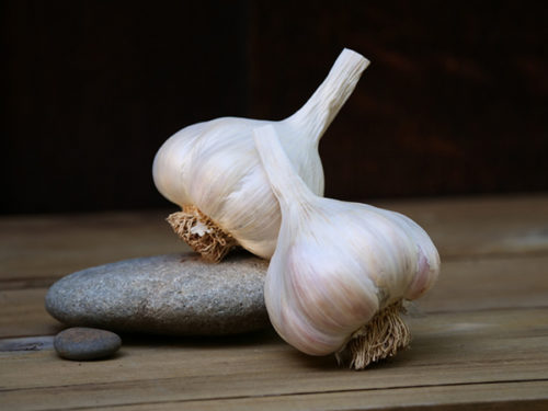 Dark Blue Garlic Seeds For Planting Vegetable Seeds
