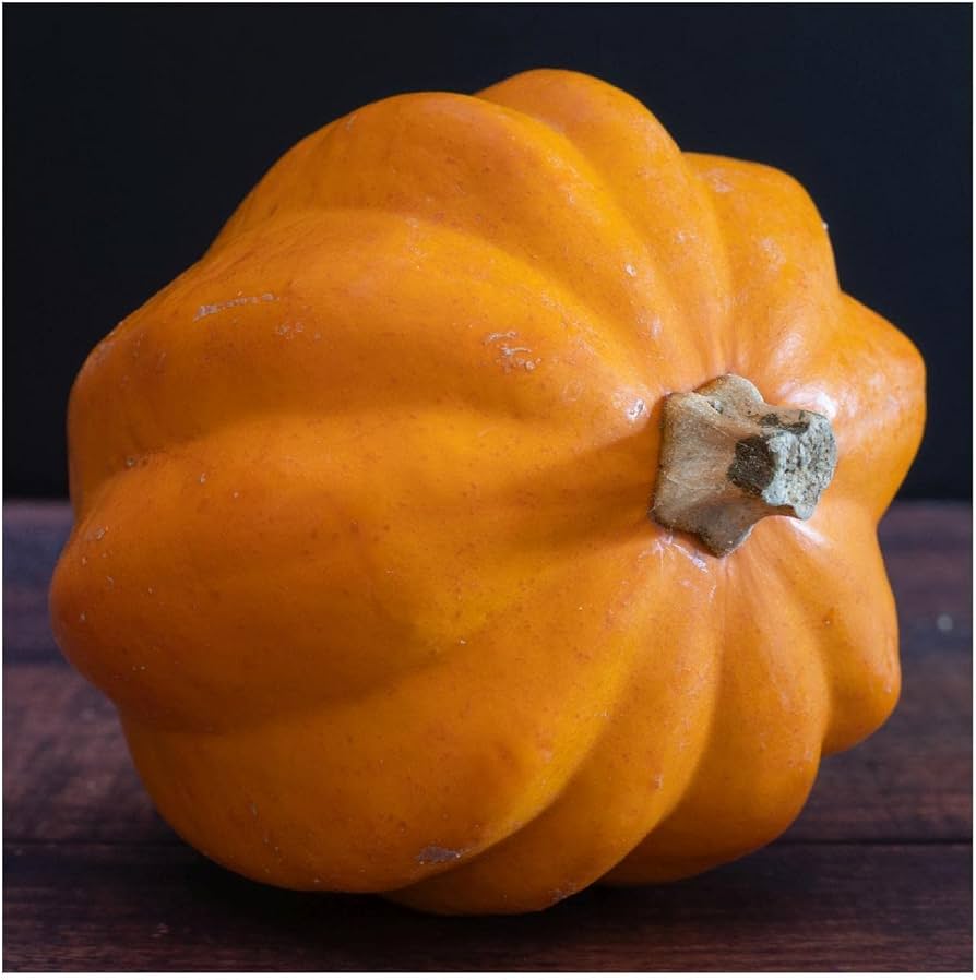 Table Gold Acorn Squash seeds for planting