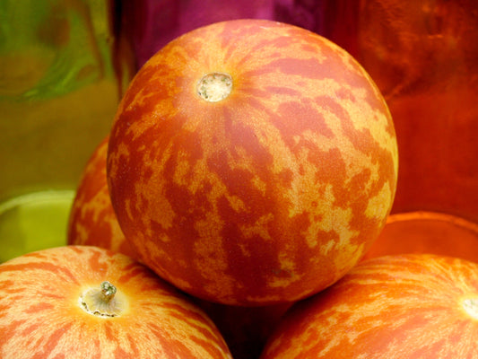 Tigger (Tiger) Melon (Cucumis melo) seeds for planting