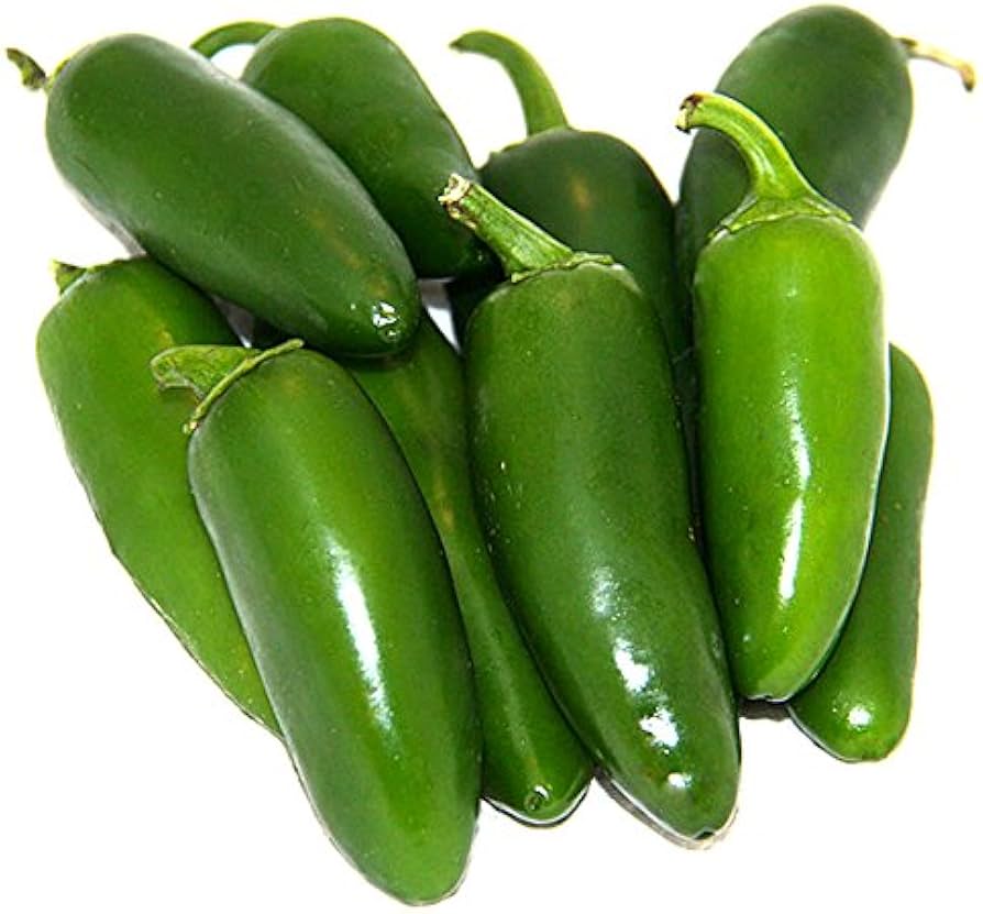 Jalapeno pepper plants in vegetable patch