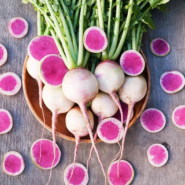 Watermelon radish plants thriving in raised garden beds