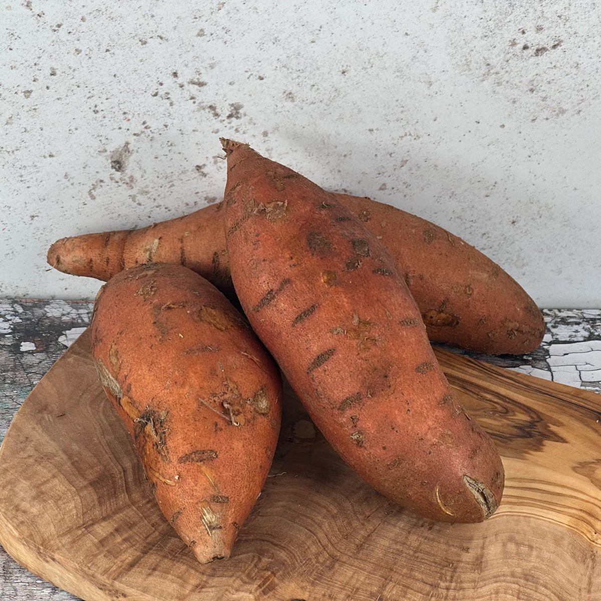 Brown Orange Sweet Potato Seeds Perfect for Your Garden, Premium Seeds seed packet for home gardening