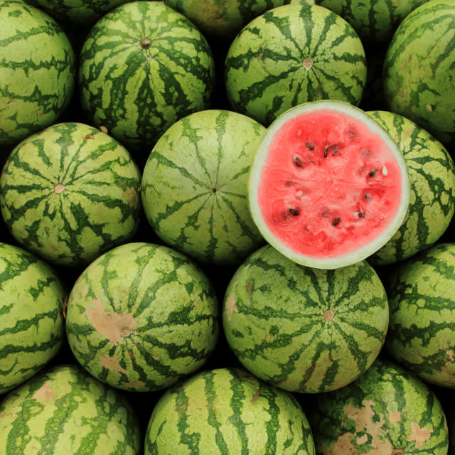 Mixed Watermelon Seeds for Planting | Grow Delicious Watermelon in Your Garden