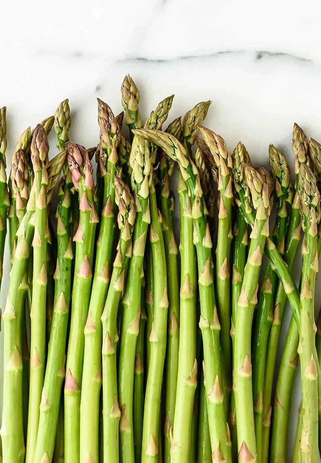 Green Asparagus Mary Washington Seeds for Perennial Planting - Evergrowseeds