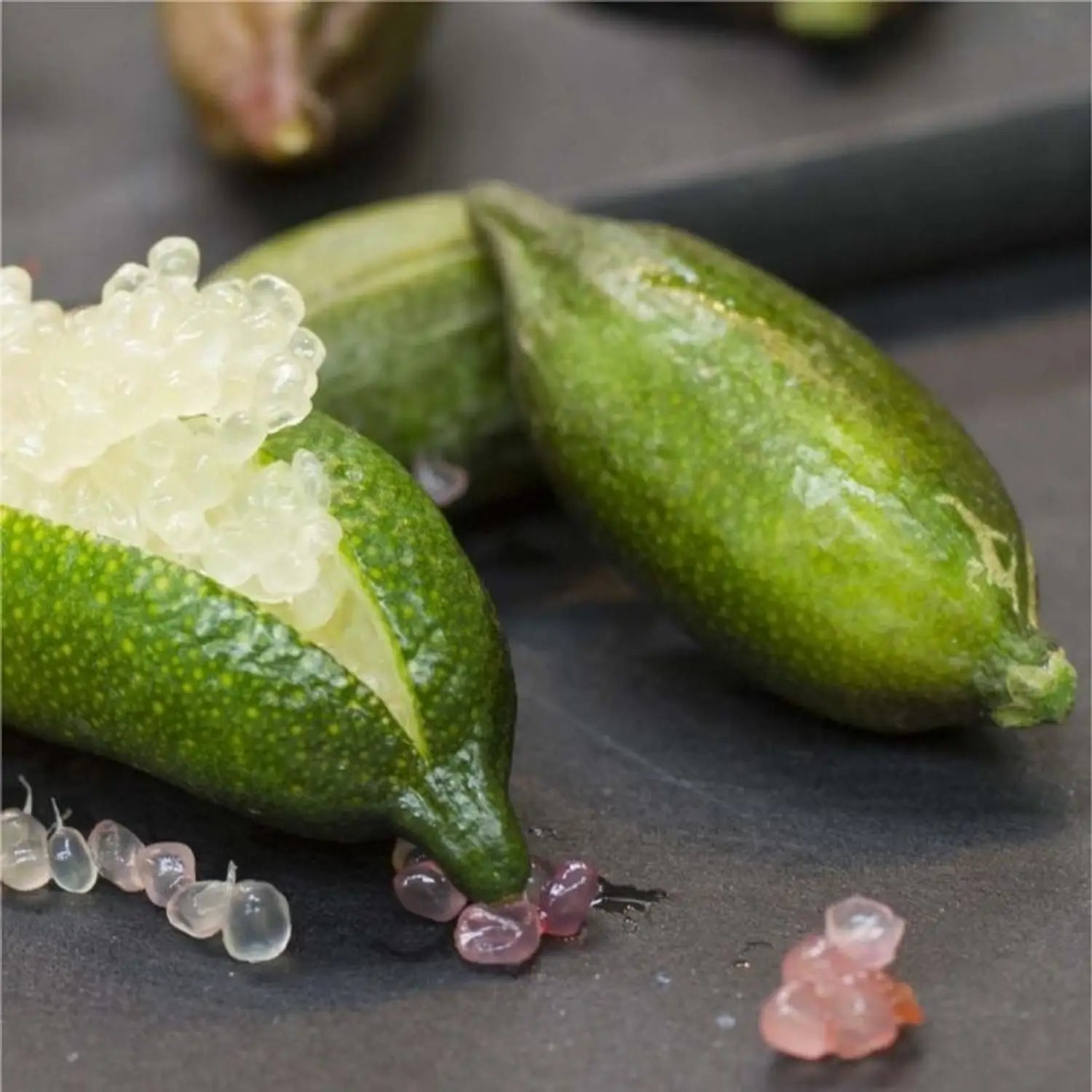 Finger Lime Seeds for Planting  Grow Your Own Unique Fruit!