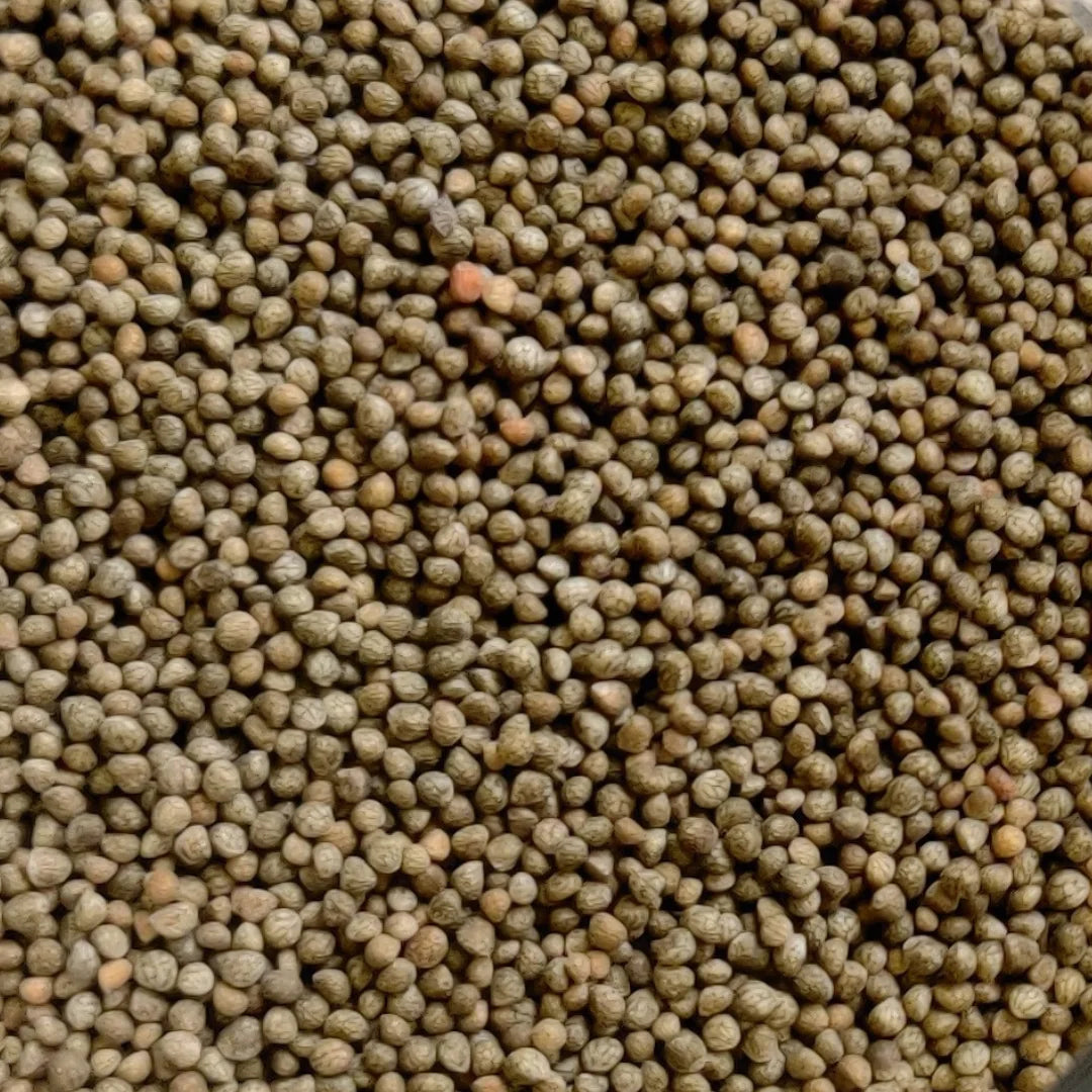 Mixed Perilla Seeds for Planting