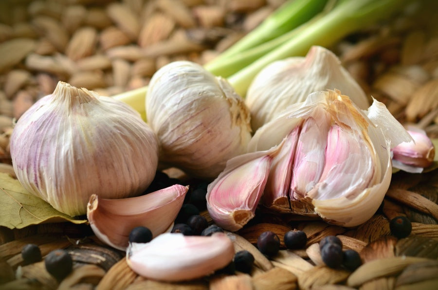 Vegetable Garlic Seeds - Premium Flavorful Bulbs for Home Gardening and Culinary Use, Premium seed packet for home gardening
