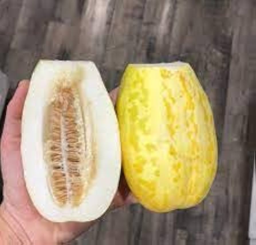 Apple Melon Seeds for Planting Cucumis melo for vegetable beds and sunny garden plots