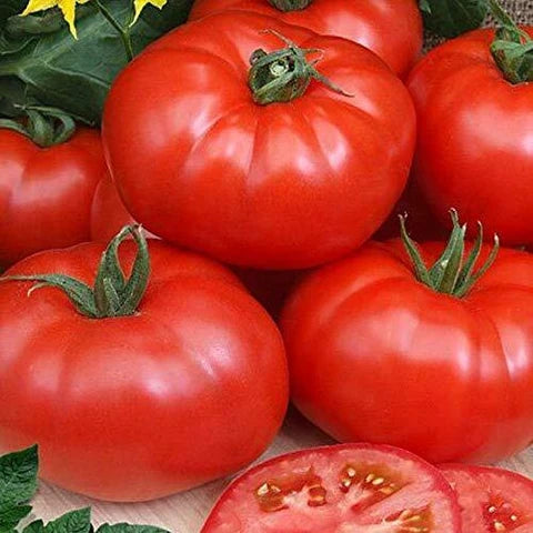 Cosmonaut Volkov Heirloom Tomato Seeds for Spring Planting | Flavorful, Early Harvest