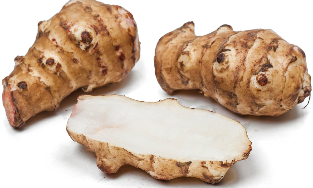 Topinambur (Jerusalem Artichoke) Vegetable Seeds for Planting - Evergrowseeds