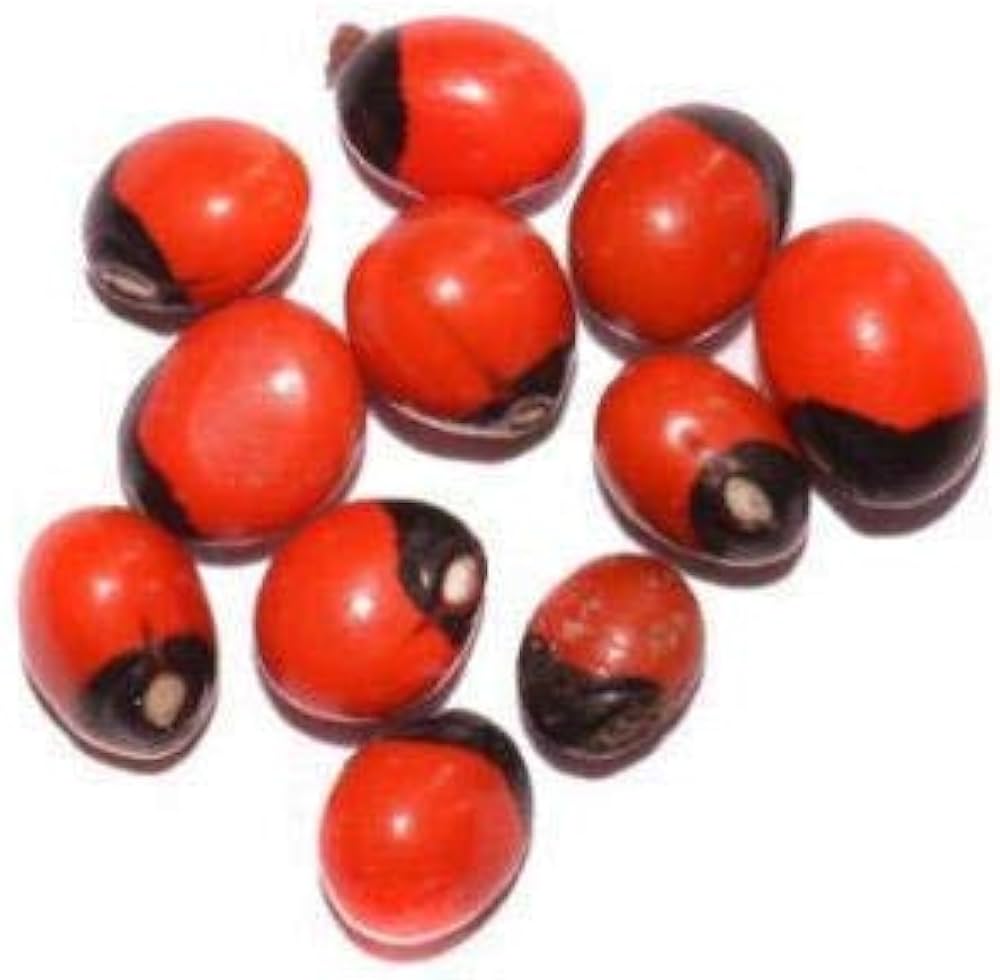 Red Iris Seeds – Bold, Vibrant Red Flowers for Stunning Garden Displays