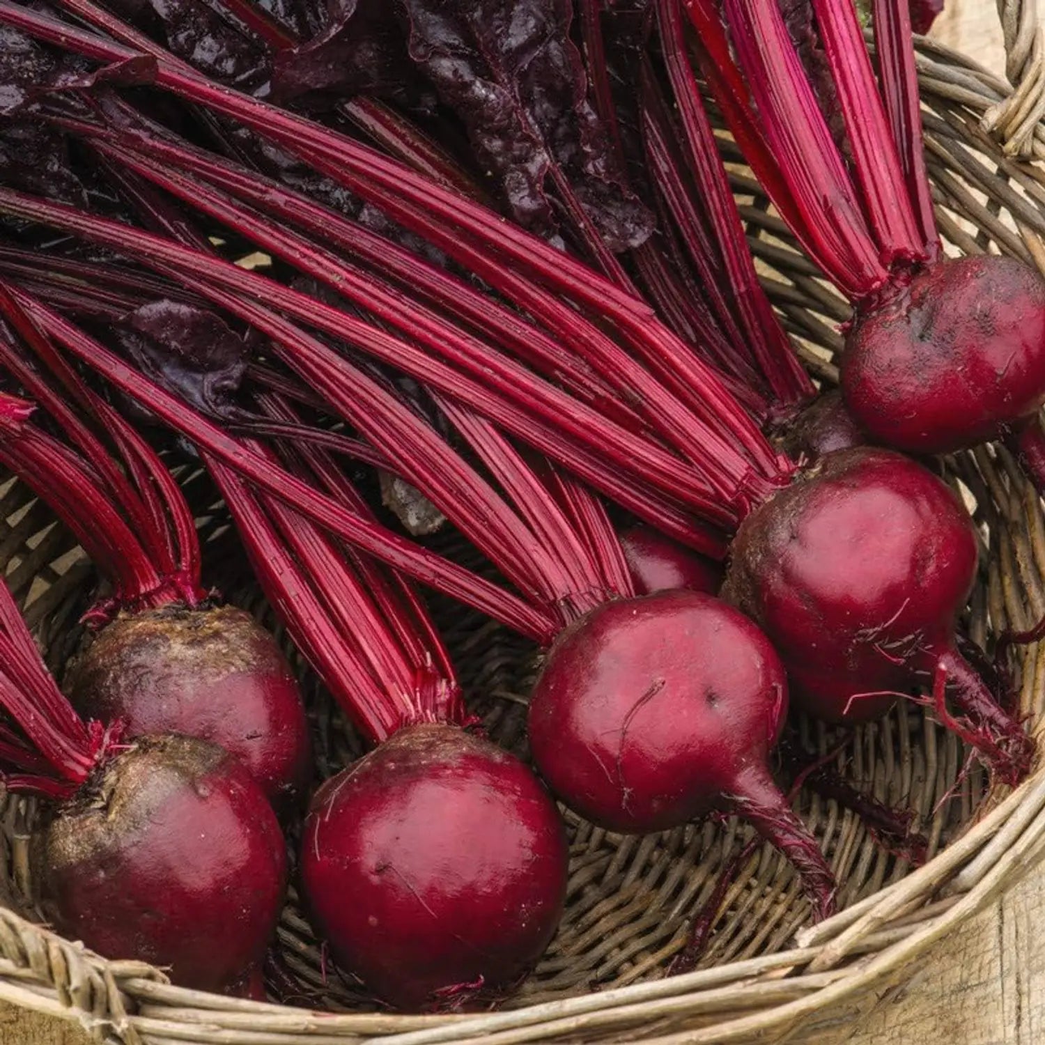 Red Beetroot Seeds - Perfect for Planting