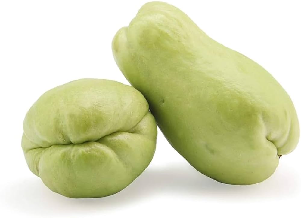 Chayote Sechium edule Fruit Seeds for Planting in Vegetable Patch