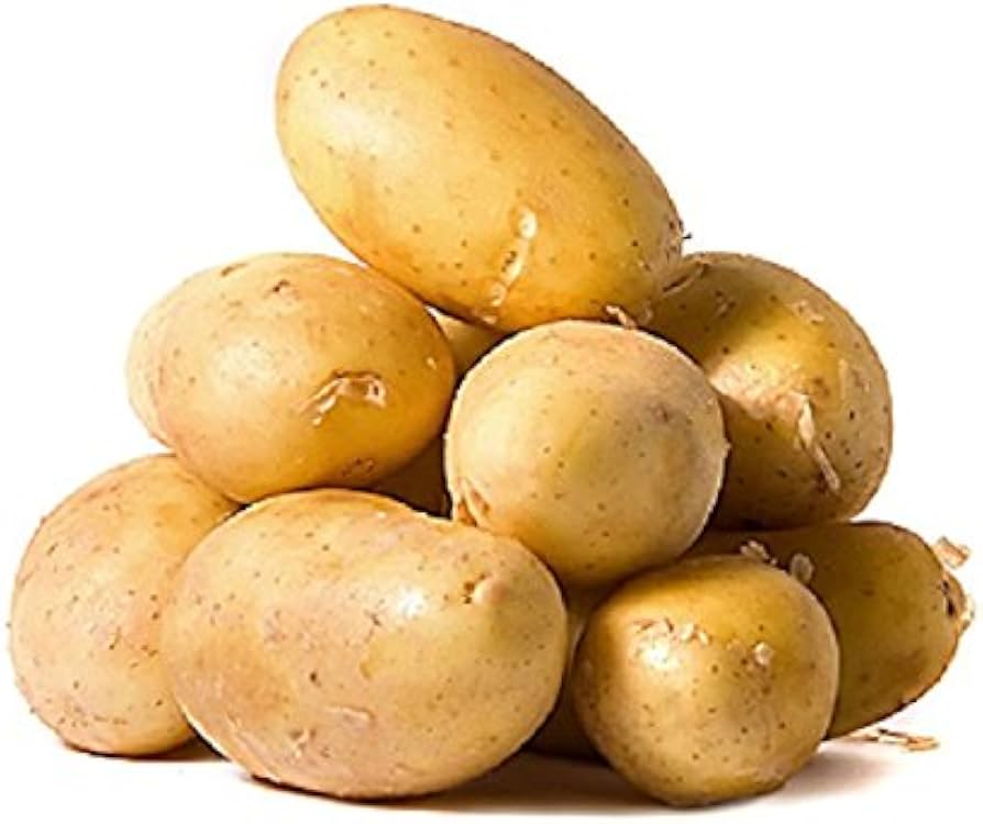 Yukon Potato Solanum tuberosum Seeds for Planting in Vegetable Patch