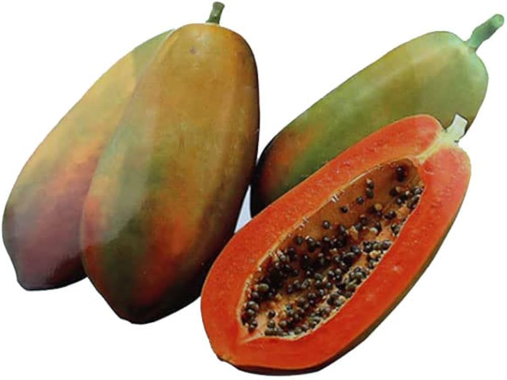 Impatiens Sun and Shade Papaya Seeds for Planting Tropical Hued Flowers