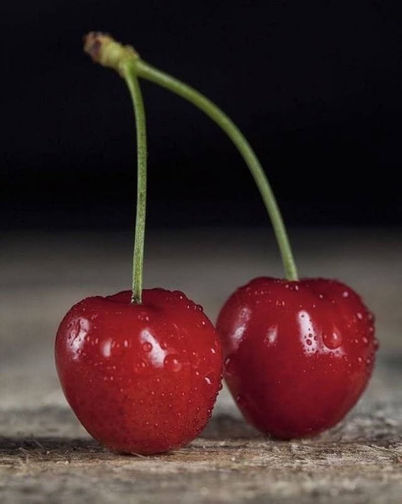Bio-Boden Cherry Seeds for Planting home garden