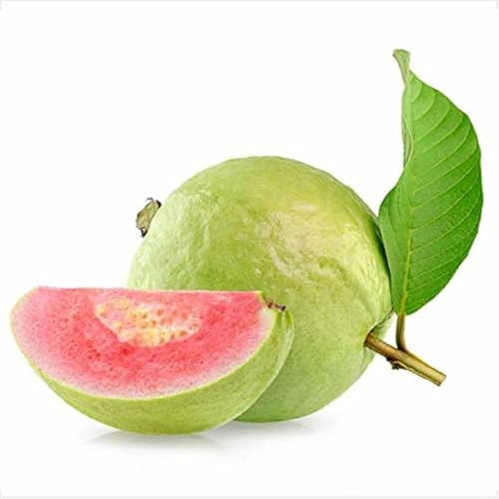 Guava Seeds for Planting Psidium guajava for tropical gardens and home orchards