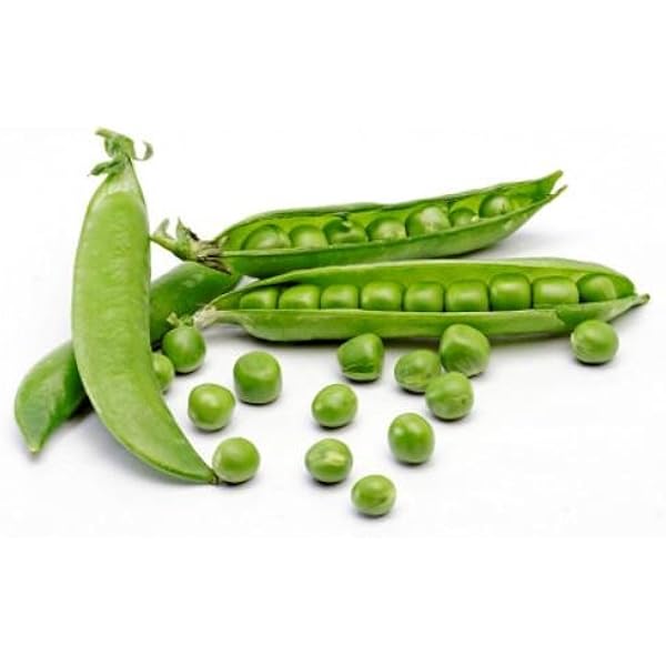 Zipper Cream Pea Pisum sativum Seeds for Planting in Vegetable Patch