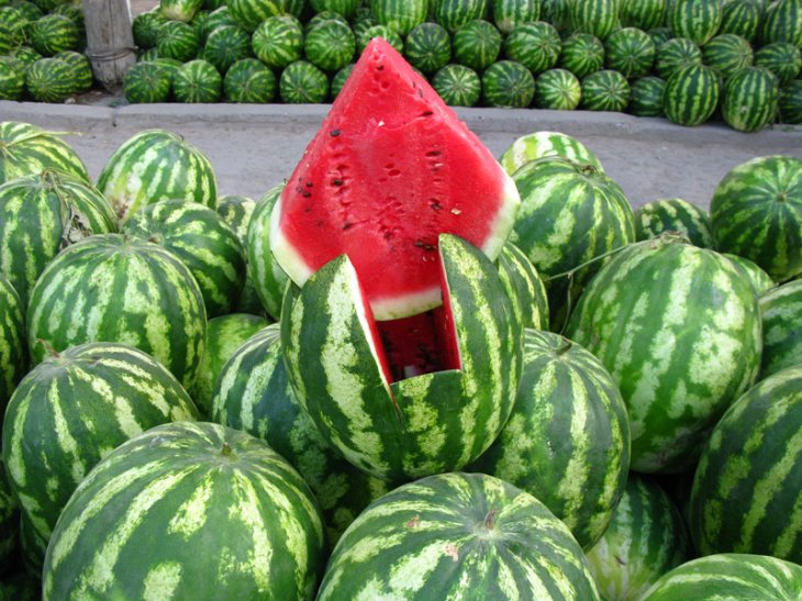 Rattlesnake Watermelon Seeds for Planting - Heirloom Fruit Variety, Perfect for Spring Gardens