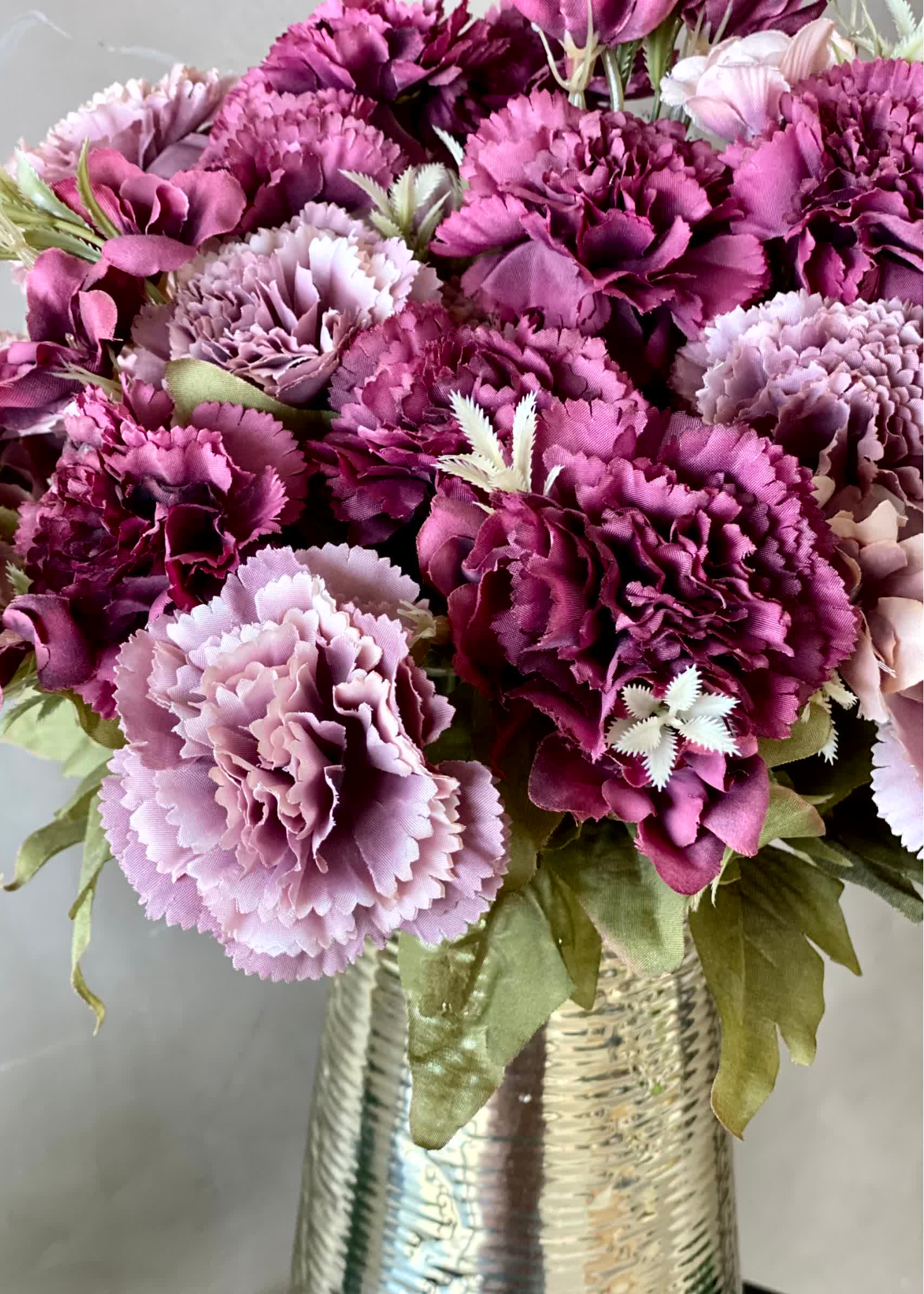White Violet Carnation Flower seeds for Planting Compact Growth Heirloom & GMO Free Seeds for Home Garden