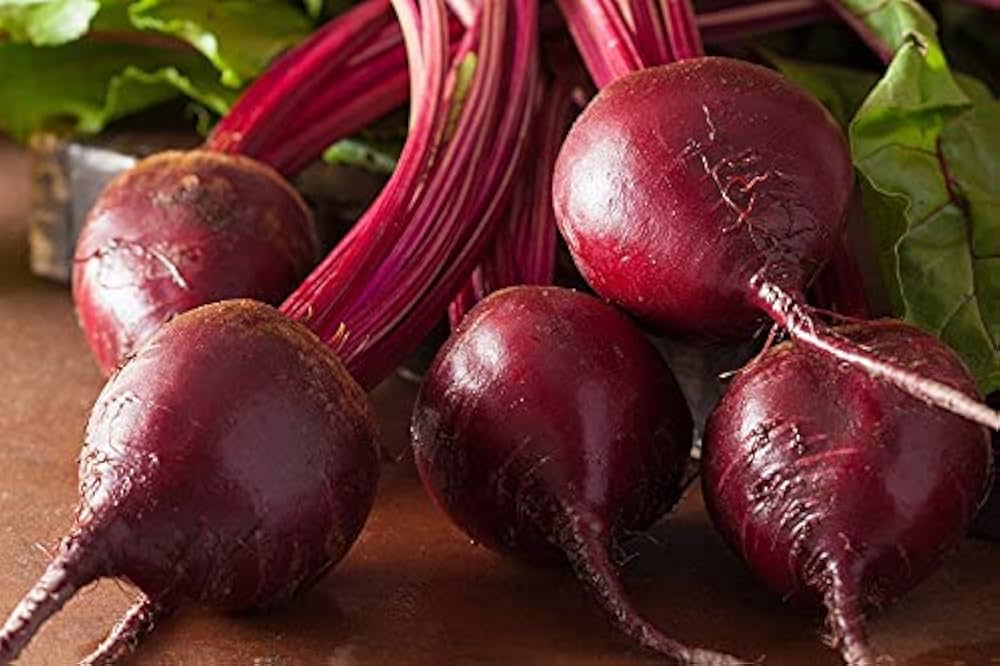 Beetroot Seeds for Planting Beta vulgaris for kitchen gardens and urban vegetable patches