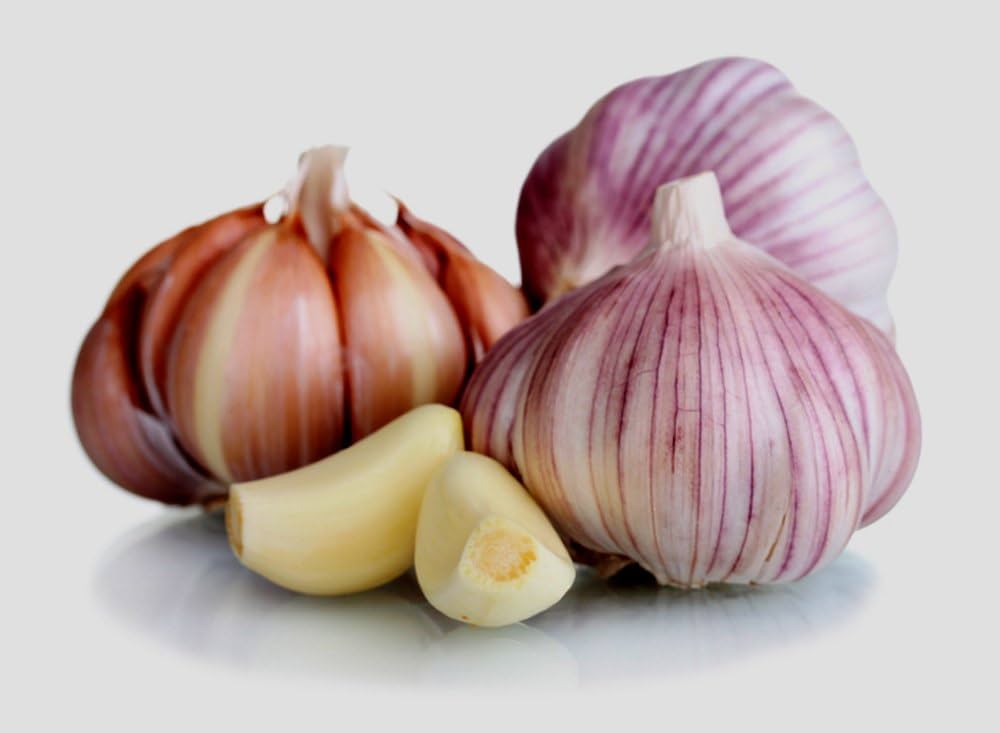 Garlic Seeds for Planting Allium sativum for vegetable patches and home gardens - Evergrowseeds