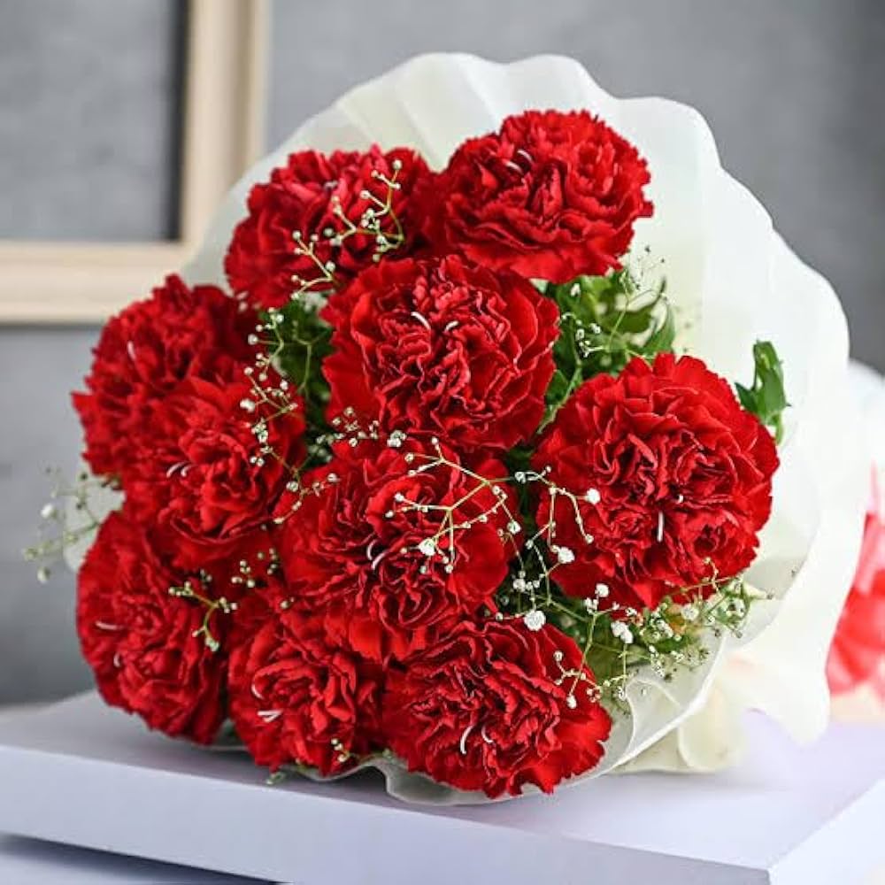 Red Carnation Flower Seeds for Planting Easy to Grow Heirloom & GMO Free Seeds for Home Garden
 
 Sale
