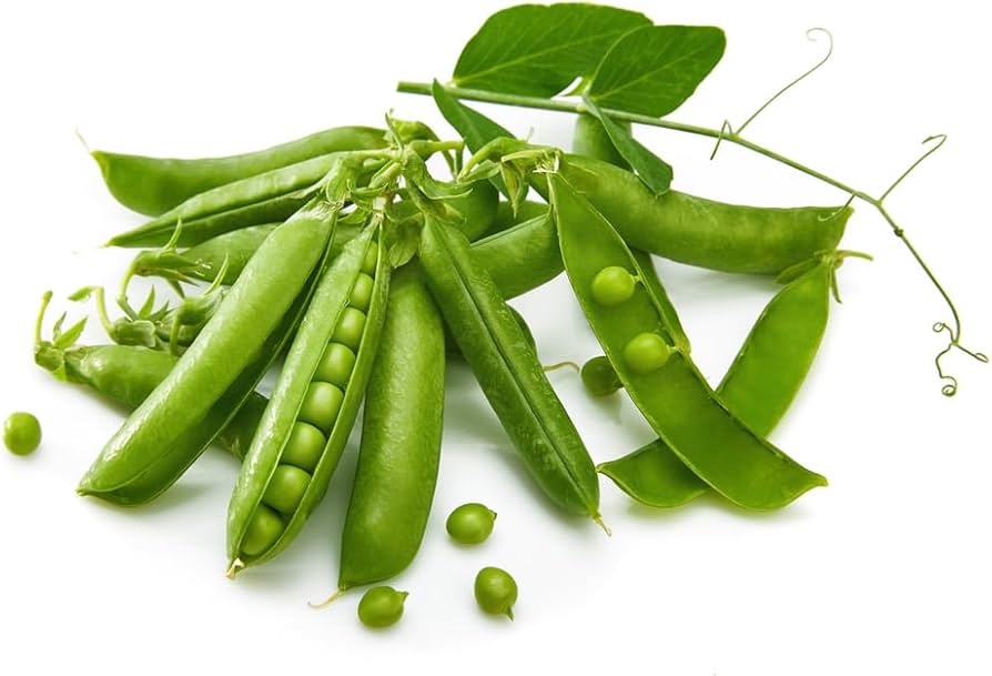 Early Frosty Garden Pea Seeds for Planting vegetable patch