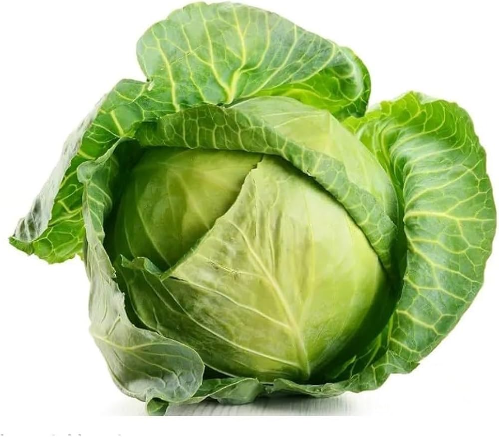 Cabbage Seeds Brassica oleracea for Planting in Vegetable Patch