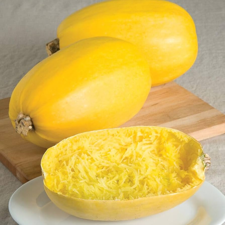 Spaghetti Squash Melon Seeds Cucurbita pepo for Planting in Vegetable Patch