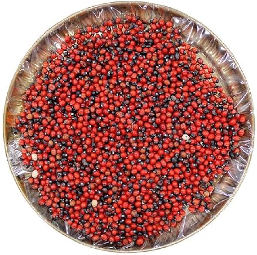 Ravanello Sileziya Raphanus Sativus Seeds for Planting - Ideal for Flower Bed & Vegetable Patch