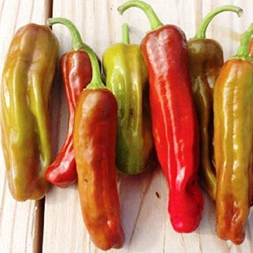 Golden Greek Pepperoncini Seeds for Mild, Tangy Peppers