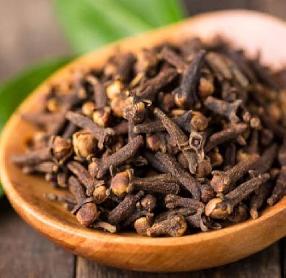 Clove Syzygium Aromaticum Seeds for planting in herb garden