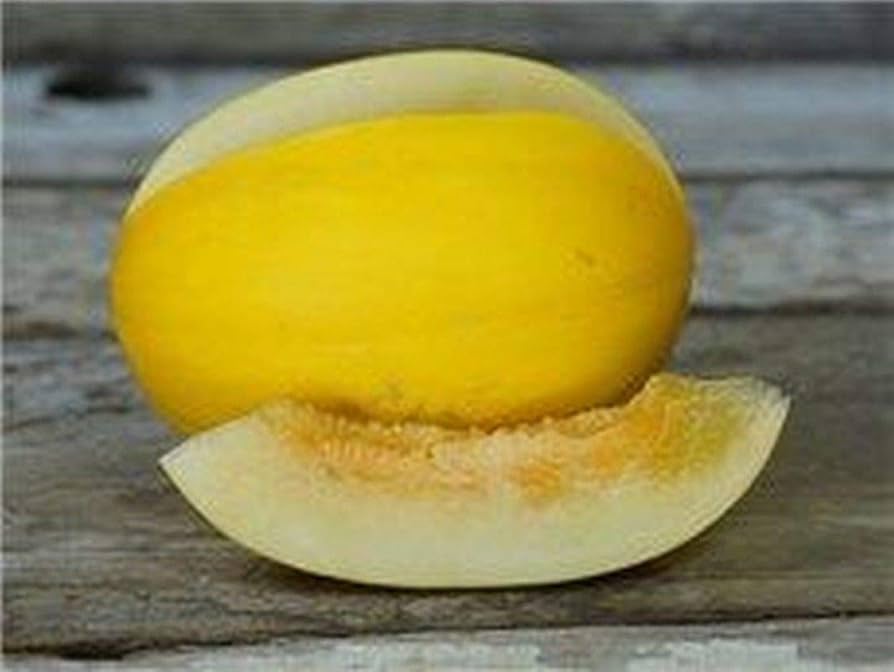 Korean Melon Seeds for Planting Cucumis melo var. makuwa for urban gardens and raised beds